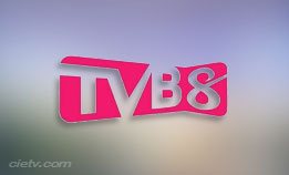 TVB8